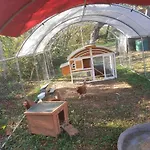 Maison Le Lezard Chez Amalia Et Fred *