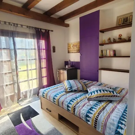 Chez Amalia Et Fred * Thonon-les-Bains