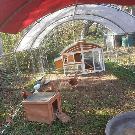 Maison Le Lezard Chez Amalia Et Fred *
