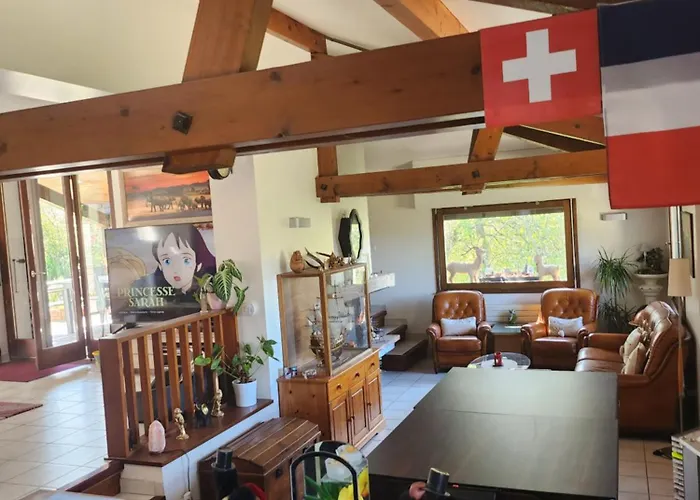 Maison Le Lezard Chez Amalia Et Fred * Thonon-les-Bains