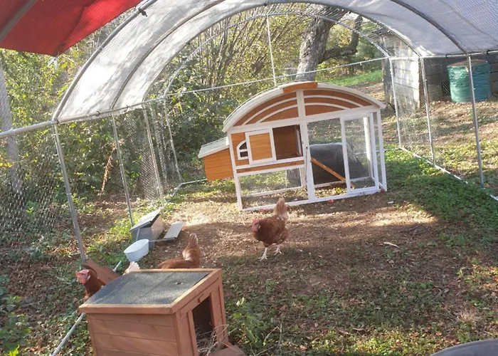 Maison Le Lezard Chez Amalia Et Fred *